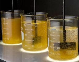 Naphtha (1)